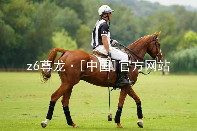 z6尊龙·[中国]官方网站