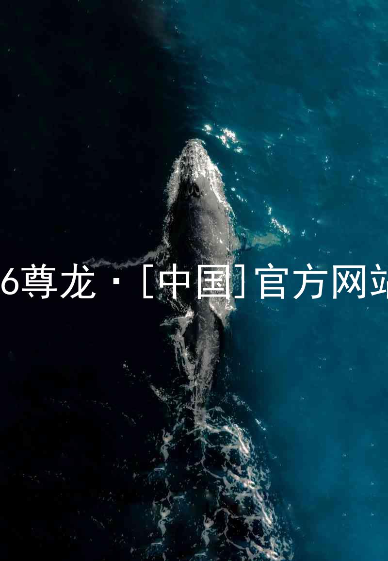 z6尊龙·[中国]官方网站